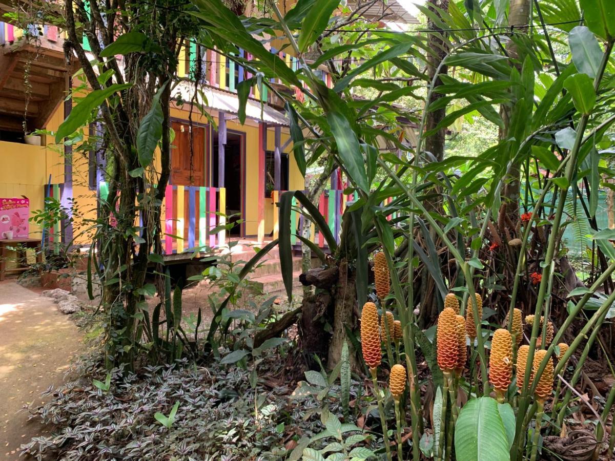 Hotel Brigitte´s Ranch Cahuita Exterior foto