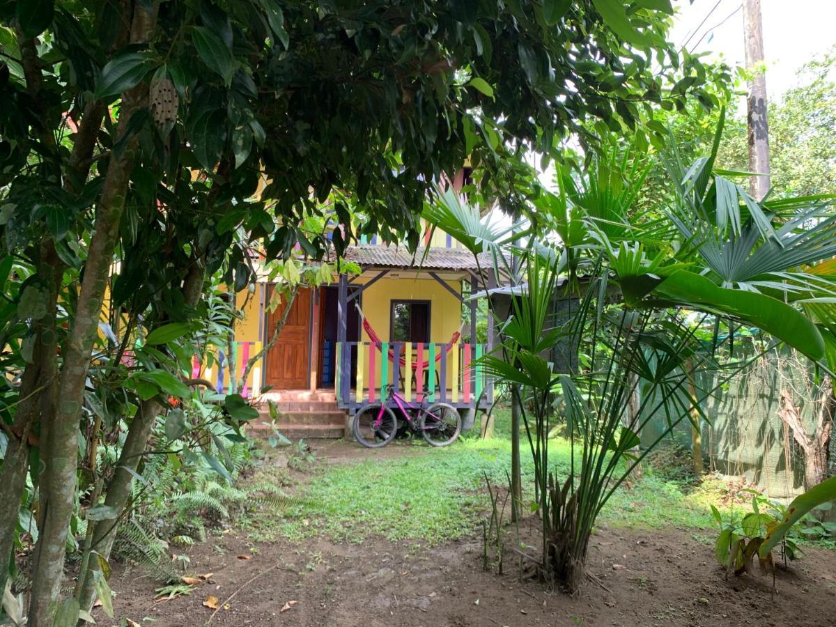 Hotel Brigitte´s Ranch Cahuita Exterior foto