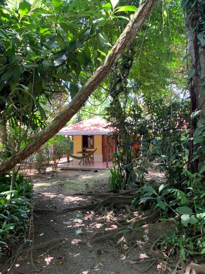 Hotel Brigitte´s Ranch Cahuita Exterior foto