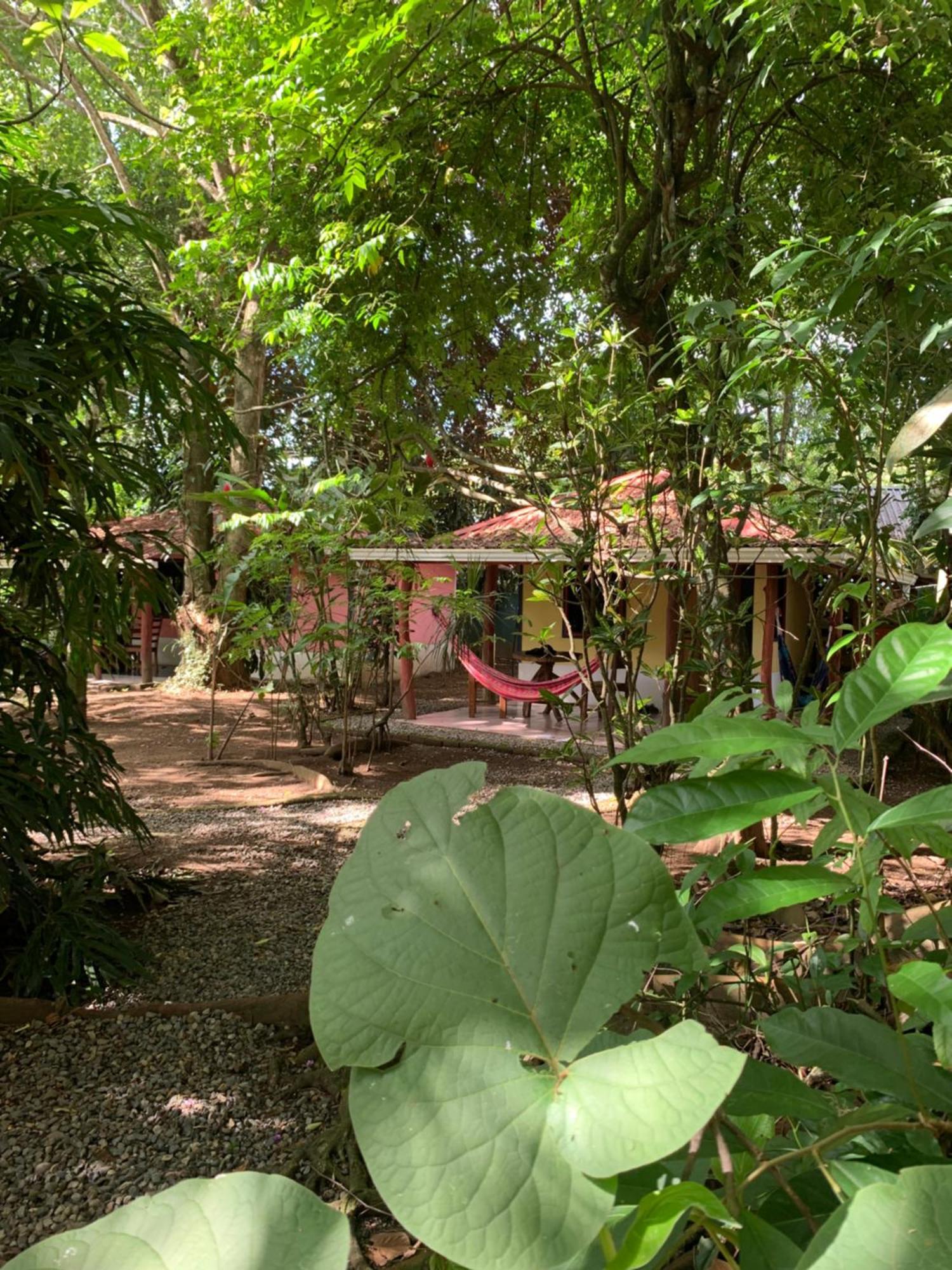 Hotel Brigitte´s Ranch Cahuita Exterior foto