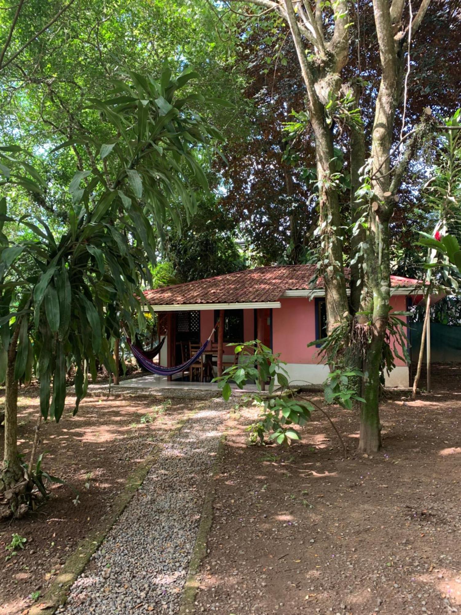Hotel Brigitte´s Ranch Cahuita Exterior foto