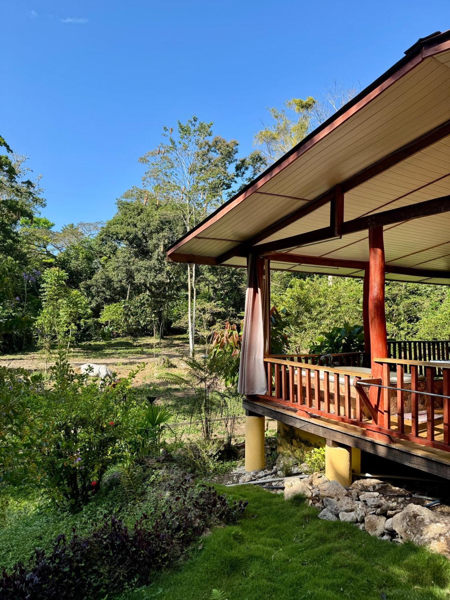Hotel Brigitte´s Ranch Cahuita Exterior foto