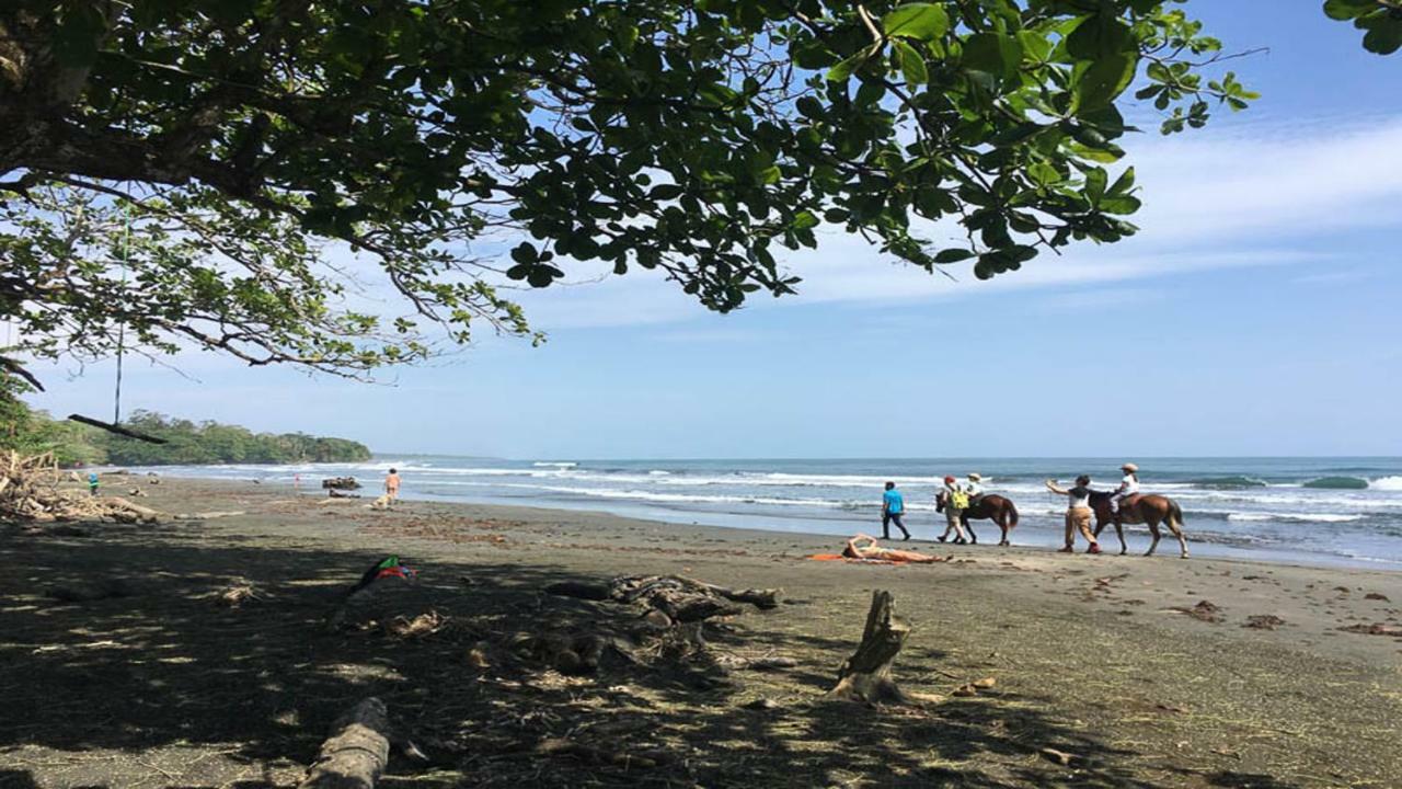 Hotel Brigitte´s Ranch Cahuita Exterior foto